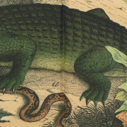 Ein böses Krokodil das sitzt ganz faul am Nil